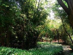 -南山植物园