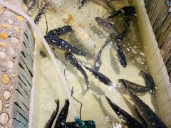 -小媳妇铁锅炖(安华街店)