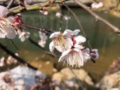 -龟山风景区-龟山电视塔