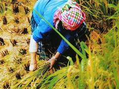 -湘邻呷铺·田园家宴(汉基广场店)