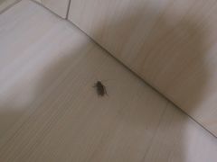 -锦江之星(南京新街口店)