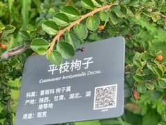 -国家植物园