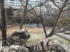 -莲湖公园
