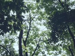 -杭州半山国家森林公园