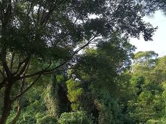 -鸿山公园