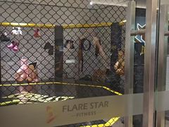 -FLARE STAR FITNESS(复地活力城店)