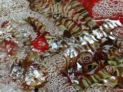 -龙眼市场(龙眼南路店)