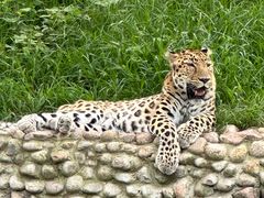 -西霞口神雕山野生动物世界