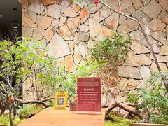 -森SPA·泰式按摩·精油Massage(宝安中心店)