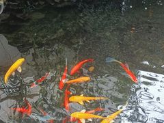 -茶米人台湾料理·精致快简餐
