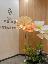 -半岛故事·法儿曼抗衰·indiba中心