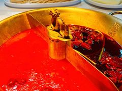 -小龙翻大江文化火锅(宽窄店)