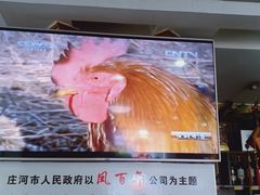 -凤百年大骨鸡饭庄