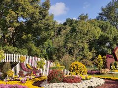 -上海共青森林公园