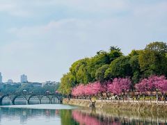 -望江楼公园