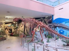 -陕西自然博物馆