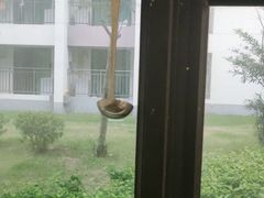 -张钰强中医正骨推拿连锁(唐家人才公寓店)