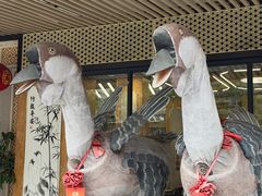 -日日香卤鹅饭店·澄海狮头鹅(澄海店)