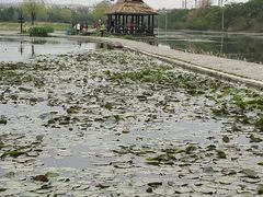 -前关湿地公园