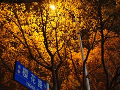 -证大喜玛拉雅中心