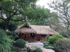 -中国茶叶博物馆(双峰馆区)
