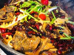 -老板恋上鱼(恒隆广场店)