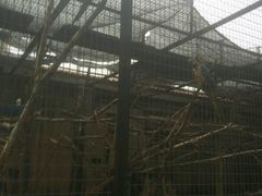 -石家庄市动物园