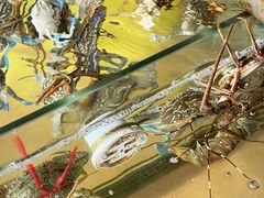 -钱大妈海鲜饭店(保利林语店)