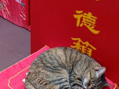 -龙华寺