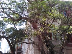 -香港大学