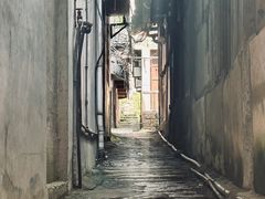-北岐滩涂