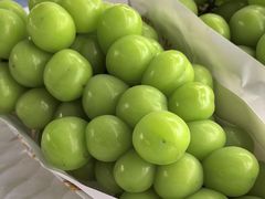 -马陆小张葡萄园农家乐