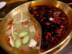 -杨家火锅(国美店)