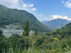 -四明山国家森林公园