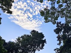 -月亮湾公园