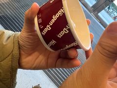 -哈根达斯(芳圆里店)