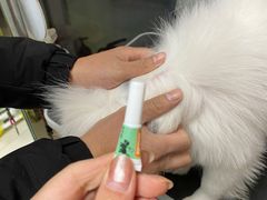 -天雅宠物(绿岛苑店)
