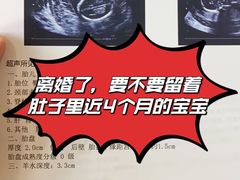 -王丽律师团队·专注婚姻家事(黄浦店)