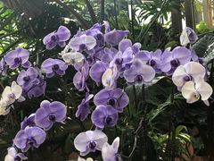 -华南国家植物园-售票处