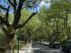 -浙江大学(玉泉校区)