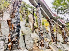-崂山仰口游览区