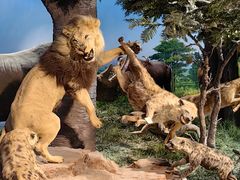 -国家自然博物馆