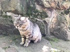 -无锡惠山寺
