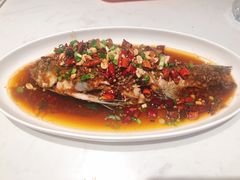 -杨氏青龙虾·羊蝎子(金盛路总店)