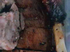 -陈光记烧腊(长寿路店)