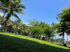 -深圳湾公园(南山区)