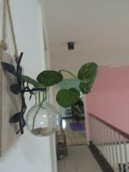 点击看大图 -意施精准塑形普拉提