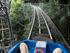 -藏龙百瀑风景区