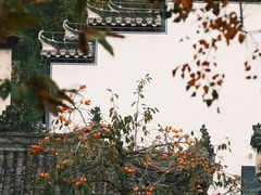 -塔川景区