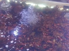 -聚盛源蒸汽海鲜火锅烤肉自助(巨川金海岸购物广场店)